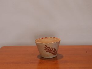 SEMILLERO CHICO-CONSUELO