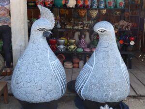 ¿GALLO O GALLINA?