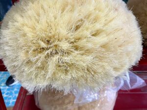 CABELLO DE PARACHICO